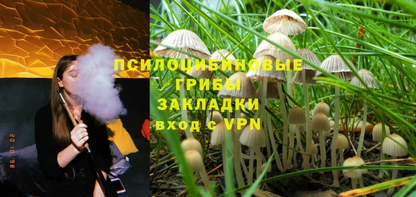дурь Алексин
