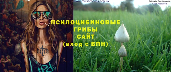 2c-b Алексеевка