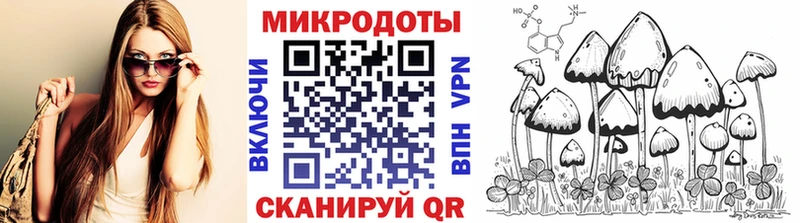 Галлюциногенные грибы Cubensis  Буй 